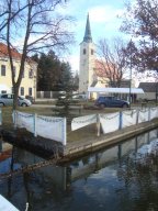 Faschingsumzug 2019 (Fotos Adolf Müller)